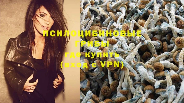 дживик Алзамай